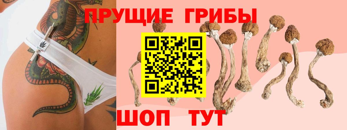 Псилоцибиновые грибы мухоморы  хочу наркоту  Чистополь  Вход с VPN 